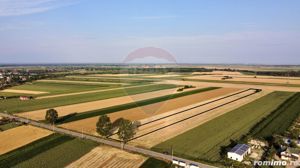 Teren 7,830mp Vanatori / Strada DJ204E