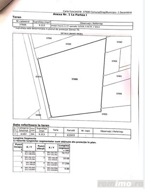 Teren intravilan 9313 mp in comuna 1 Decembrie - Ilfov - imagine 4