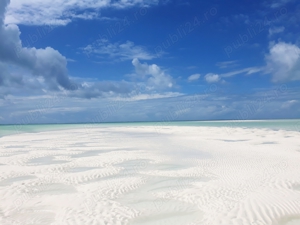 Teren de vânzare în Zanzibar - imagine 5