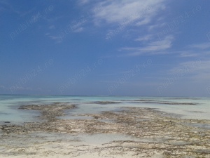 Teren de vânzare în Zanzibar - imagine 4