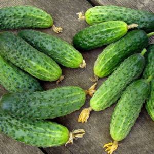 Vând castraveți , varză