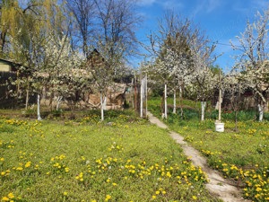 Teren intravilan Oradea Fagetului -panorama deosebita - imagine 3
