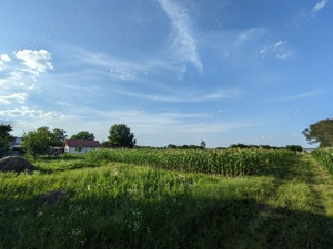 Teren plus casa de vanzare in Iezer, judetul Botosani - imagine 5