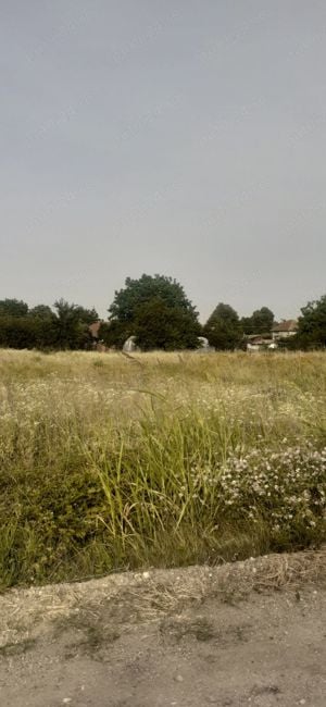   Teren intravilan  Calugareni, 10 km de la autostrada, respectiv 12 km de la Arad  - imagine 3