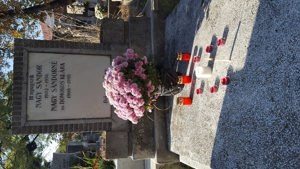 Loc de veci de vanzare in cimitirul CRISAN, Cluj-Napoca - imagine 3