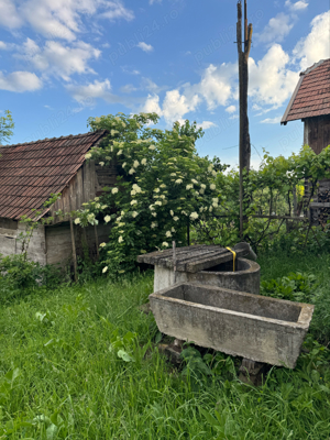 Casa de vanzare Com. Calarasi  Turda - imagine 4