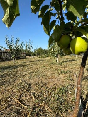 Teren intravilan Slobozia Noua