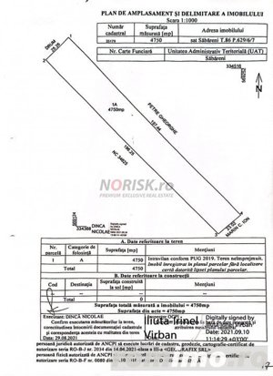 Teren Constructii Intravilan 4750mp SABARENI - 0% COMISION - imagine 8