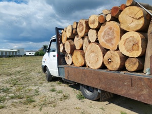 Lemne de foc esență tare  buștean  - imagine 5