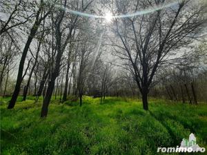 Casa cu livada teren 1200 mp - imagine 4