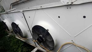 Set complet de frigidere si congelate Linde cu agregate Bitzer in stare excelenta! - imagine 8