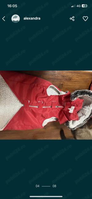 Vand haina catel facuta la comanda  - imagine 3 Vand haina catel facuta la comanda  - imagine 3