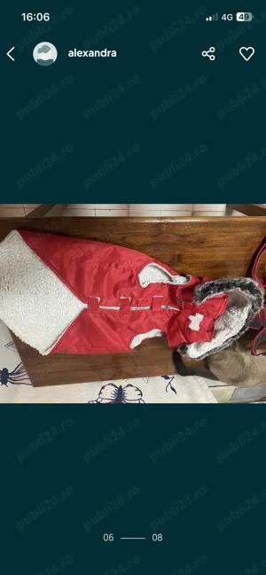 Vand haina catel facuta la comanda  - imagine 2 Vand haina catel facuta la comanda  - imagine 2