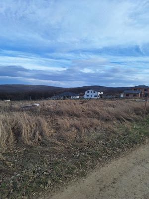 Teren intravilan situat în săldăbagiu de Munte,Bihor - imagine 3