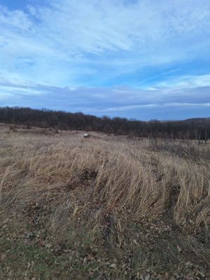 Teren intravilan situat în săldăbagiu de Munte,Bihor - imagine 4