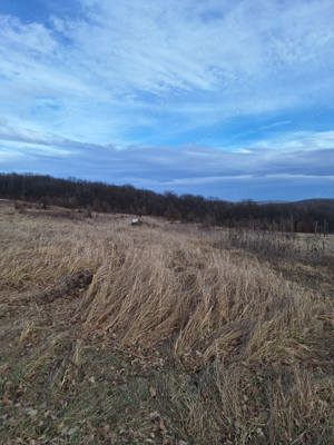 Teren intravilan situat în săldăbagiu de Munte,Bihor - imagine 2