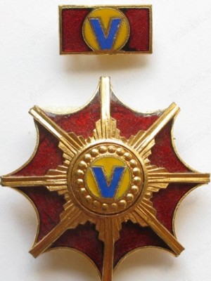 pin și baretă tricolore, pentru purtat sau colecționat - imagine 9