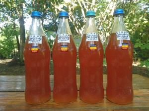 Sirop de Corcoduse Galbene - imagine 4