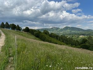 Teren inconjurat de natura de vanzare in Pestera - imagine 5