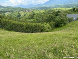 Teren inconjurat de natura de vanzare in Pestera - imagine 11