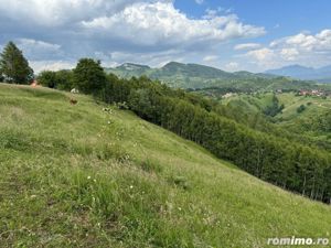 Teren inconjurat de natura de vanzare in Pestera - imagine 7