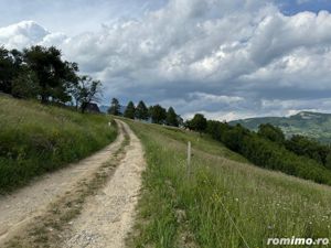 Teren inconjurat de natura de vanzare in Pestera - imagine 6