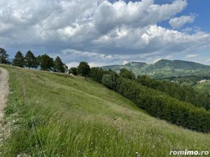 Teren inconjurat de natura de vanzare in Pestera - imagine 3