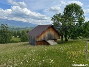 Teren inconjurat de natura de vanzare in Pestera - imagine 9