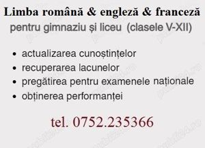 Meditatii Limba si literatura romana (Timisoara)