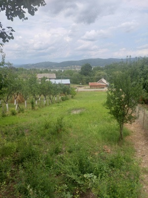 Vand teren intravilan - imagine 2