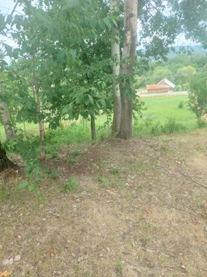 Vand teren intravilan - imagine 5