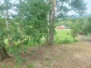 Vand teren intravilan - imagine 6