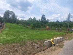 Vand teren intravilan - imagine 7