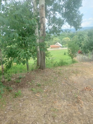 Vand teren intravilan - imagine 8