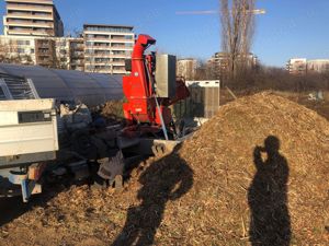 Defisari  x toaletare copacii    x tocator crengi x ridicarea resturilor vegetale 25 ani experienta  - imagine 5