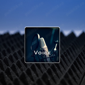 Servicii Profesionale de Voice Over