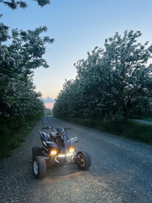 ATV Spyder 250 cc - imagine 4