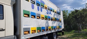 Camion apicol 12t ,72 pozitii stupi - imagine 3