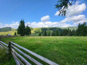 Se vinde Teren In Ortoaia - imagine 4