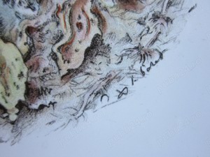 cadou rar Iepuras placa ceramica vintage colectie Villeroy and Boch semnata - imagine 2