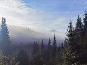 Teren intravilan 3 ha, cu 2 cabane, la marginea padurii si peisaj superb - imagine 3