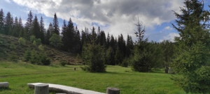 Teren intravilan 3 ha, cu 2 cabane, la marginea padurii si peisaj superb - imagine 4