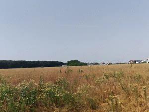 Teren, 8950 mp, langa padure, Intravilan, Magurele, Ilfov, strada Tangentei, cartierul Seismologilor - imagine 7