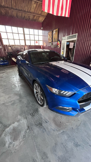 Ford Mustang 3.7v, variante - imagine 3