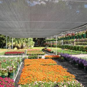 Plasă de Umbrire GeoSol 70% - imagine 3