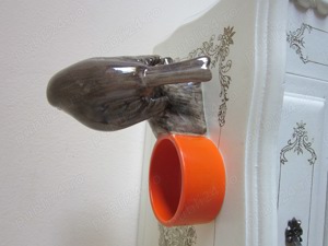 Pasare Robin cu suport lumanare made UK - imagine 2