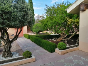 Specialist piscine si gradini 