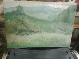 Tablou Sabina Negulescu Florian 