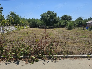 vand teren intravilan in orasul Giurgiu - imagine 6