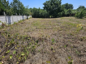 vand teren intravilan in orasul Giurgiu - imagine 5